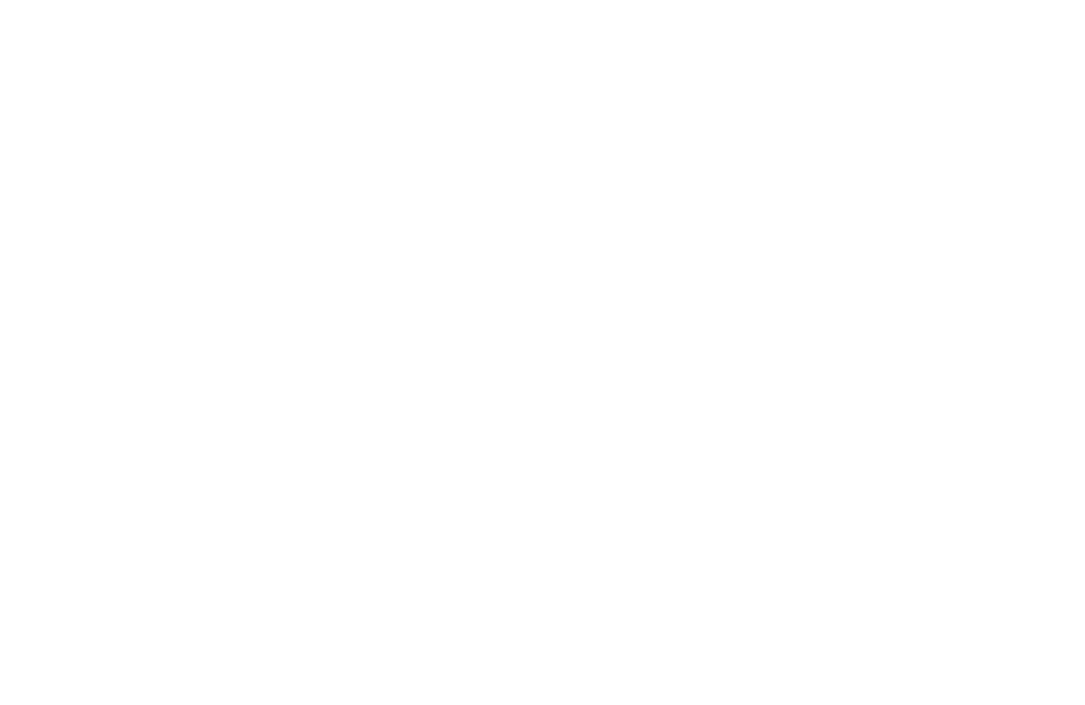 leapmotor-logo-1000x650_wit